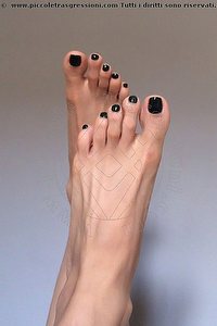 Foto selfie trans Sayda Reggio Emilia 3453509360