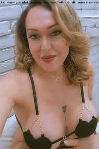 Foto selfie trans escort Vivian Blond Ferrara 3533438679