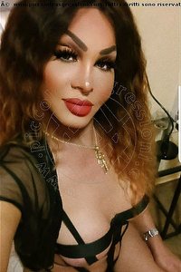 Foto selfie trans escort Rosa Xxxl Roma 3287436345