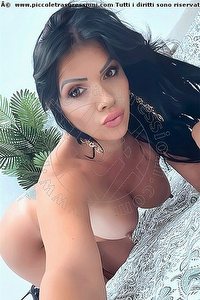 Foto selfie trans escort Elly Firenze 3249987403