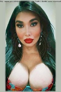 Foto selfie trans escort Kettley Lovato Firenze 3761362288