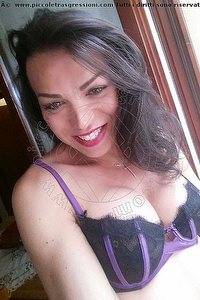 Foto selfie trans escort Niccole Gres Curno 3208683051