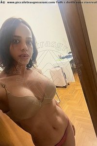 Foto selfie trans escort Nicole Dallevacche Quarto D'altino 3248239894