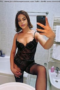 Foto selfie trans escort Nicole Dallevacche Quarto D'altino 3248239894