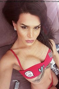 Foto selfie trans escort Reby Reggio Emilia 3383590166