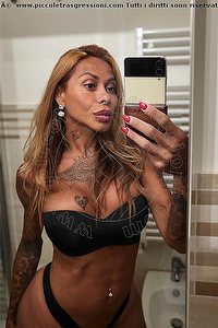 Foto selfie trans escort Alessandra Toledo Pornostar Rimini 3396743933