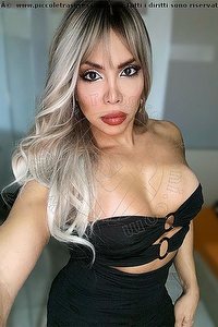 Foto selfie trans escort Karina Becker Bologna 3882588734