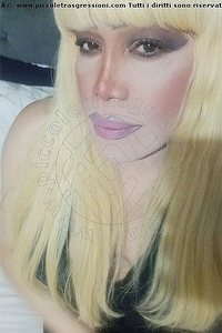 Foto selfie trans escort Nicole Vip Venturiny Milano 3533538868