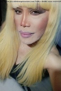 Foto selfie trans escort Nicole Vip Venturiny Milano 3533538868