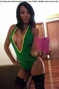 Foto selfie hot trans Kelly New Salvador Bahia 005571986642442