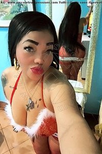 Foto selfie escort Laura Belluno 3509063529