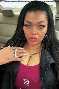 Foto selfie escort Laura Belluno 3509063529