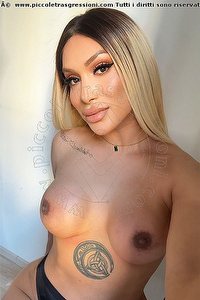 Foto selfie trans Angel Bunny Milano 3474642611
