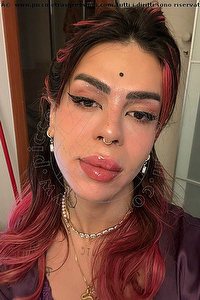 Foto selfie trans escort Bruna Montesilvano 3517139294