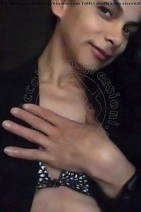Foto selfie trans escort Sayda Reggio Emilia 3453509360