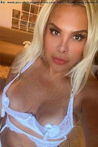 Foto selfie trans escort Lindha Torino 3288349781