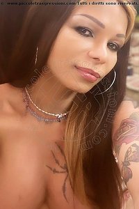 Foto selfie trans escort Katerine Ferreira Empoli 3334610654