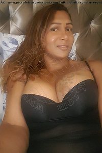 Foto selfie trans escort Morena Montecchio Maggiore 3923948518