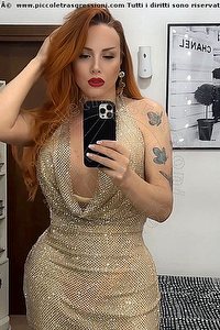 Foto selfie trans escort Marcelly Bologna 3490897365