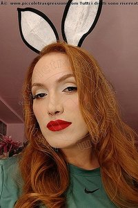 Foto selfie trans escort Regina Roberta Siracusa 3395738782