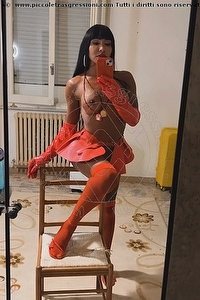 Foto selfie trans escort Miss Pocahontas Bologna 3398059304