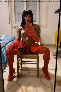 Foto selfie trans escort Miss Pocahontas Bologna 3398059304