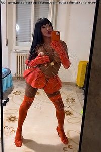 Foto selfie trans escort Miss Pocahontas Bologna 3398059304