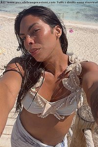 Foto selfie trans escort Roberta Maliziosa Pordenone 3911614049