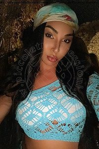 Foto selfie trans escort Jennifer Anguria Pornostar Civitanova Marche 3499398298