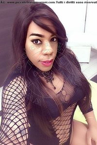 Foto selfie trans escort Dryka Lodi 3711943155