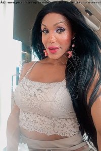 Foto selfie trans escort Wanessa Ambrosio Frosinone 3518069231