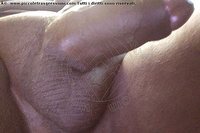 Foto selfie hot trans escort Luana Vendramini Belo Horizonte 005531983477439