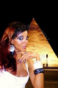 Foto selfie trans escort Angelyca Belluno 3299711770