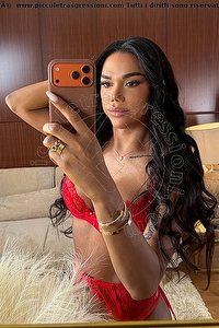 Foto selfie trans escort Abbey Bologna 3203162142