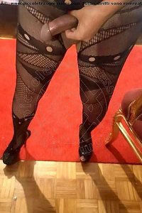 Foto selfie hot trans escort Kasandra Grosseto 3277405849