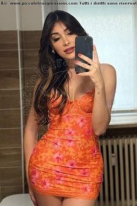 Foto selfie trans escort Safina Vicenza 3342585465