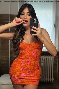 Foto selfie trans escort Safina Vicenza 3342585465
