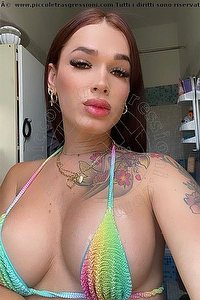 Foto selfie trans escort Renata Trento 3509654601