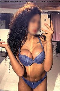 Foto selfie trans escort Miele Legnano 3317808280