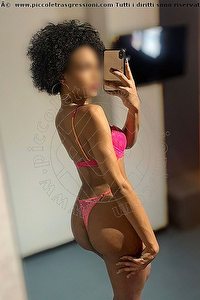 Foto selfie trans escort Miele Legnano 3317808280