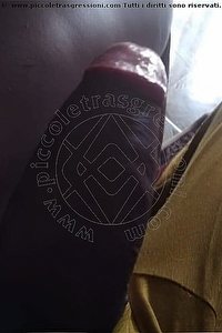 Foto selfie hot trans escort Virna La Super Dotata Milano 3494393969