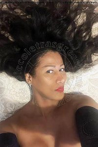 Foto selfie trans escort Gaya Belluno 3314695808