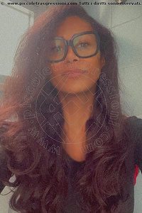 Foto selfie trans escort Gaya Belluno 3314695808