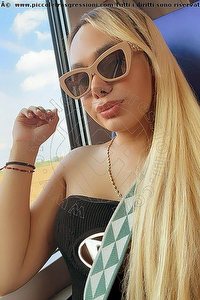 Foto selfie trans escort Sara Logan La Spezia 3501304587