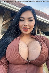 Foto selfie trans Luana Castrinni Milano 3931001131