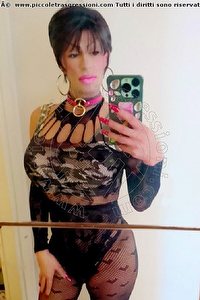 Foto selfie trans escort Anastasia Grosseto 3509105096