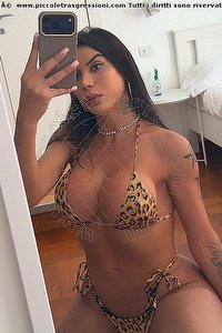 Foto selfie trans escort Isah Sanchez Bologna 3509764350