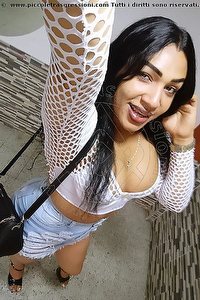 Foto selfie trans escort Luisa Las Palmas De Gran Canaria 0034604110239