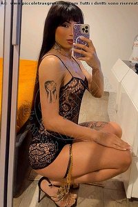 Foto selfie trans escort Arielli Collins Roma 3533891489