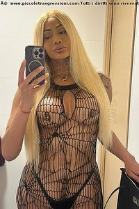 Foto selfie trans escort Keitty Tolposky Salvador Bahia 00557182900655